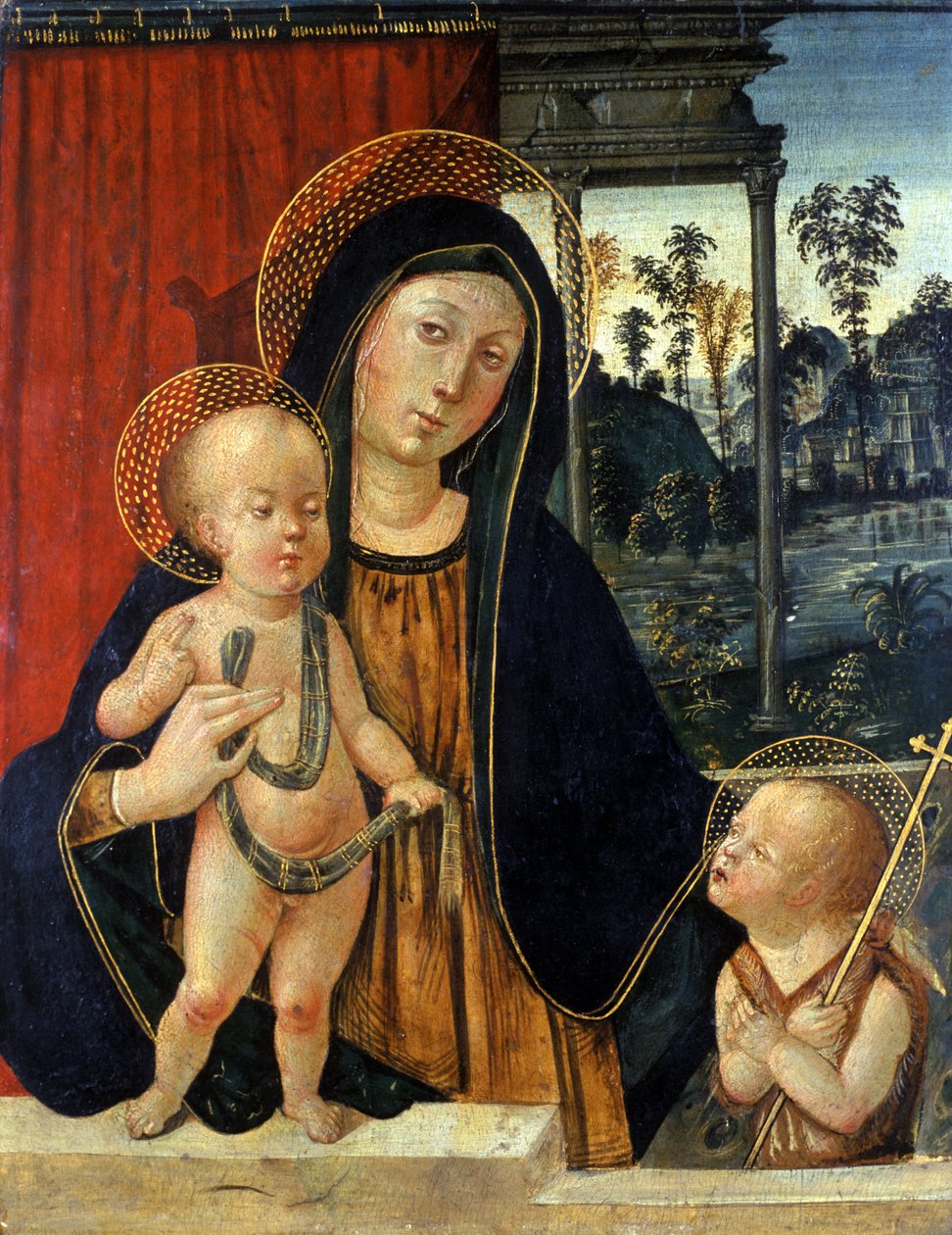 Genç Vaftizci Yahya ile birlikte Madonna ve Çocuk, c.1500 (kavak ağacı üzerinde tempera) by Italian School