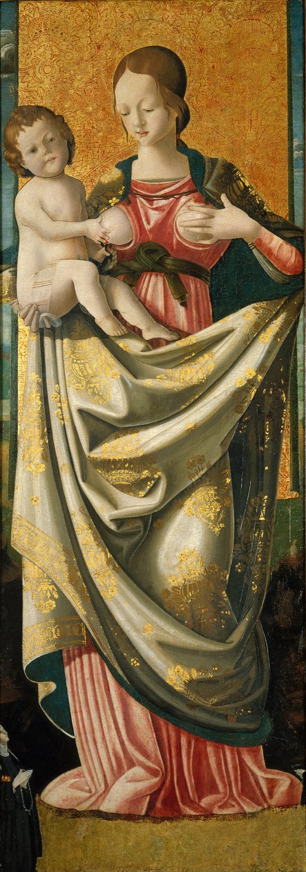 Madonna del Suffragio, c.1520 (ahşap panel üzerinde tempera) by Italian School