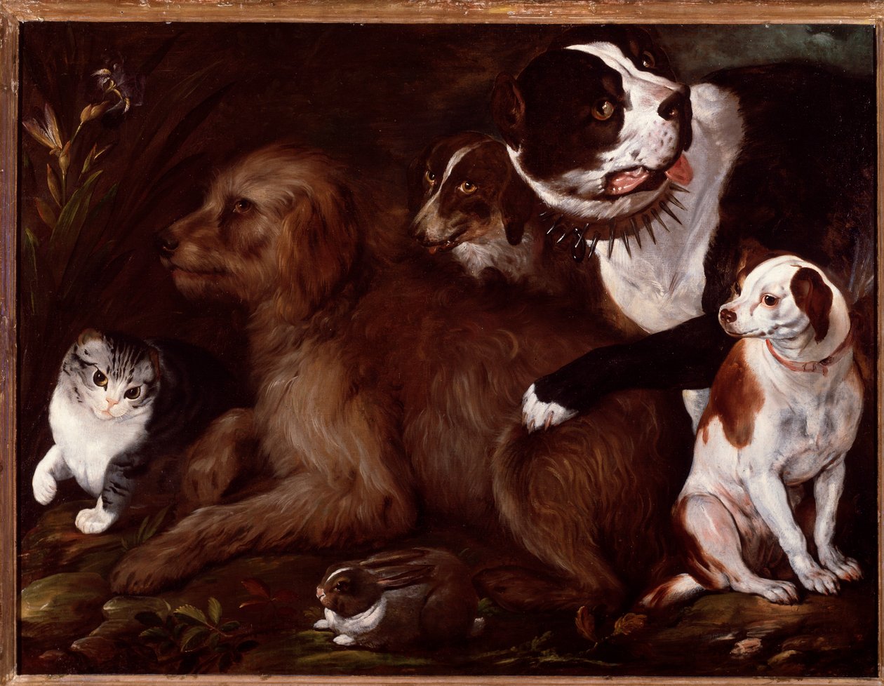 İtalyan okulundan bir kedi ve bir tavşanla Medici köpekleri by Italian School