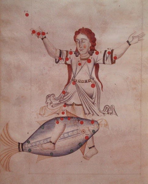Ms.1036 Balık Takımyıldızı, 