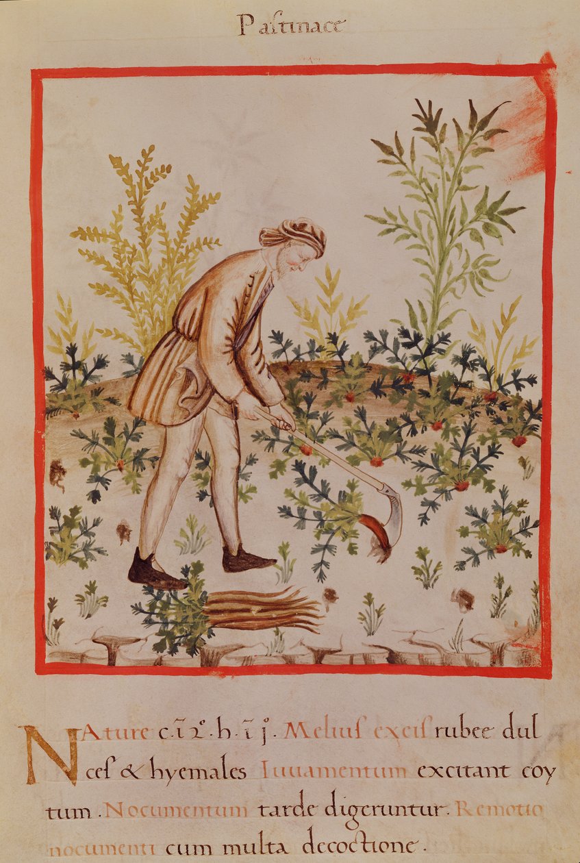 Ms.3054 fol.9 
