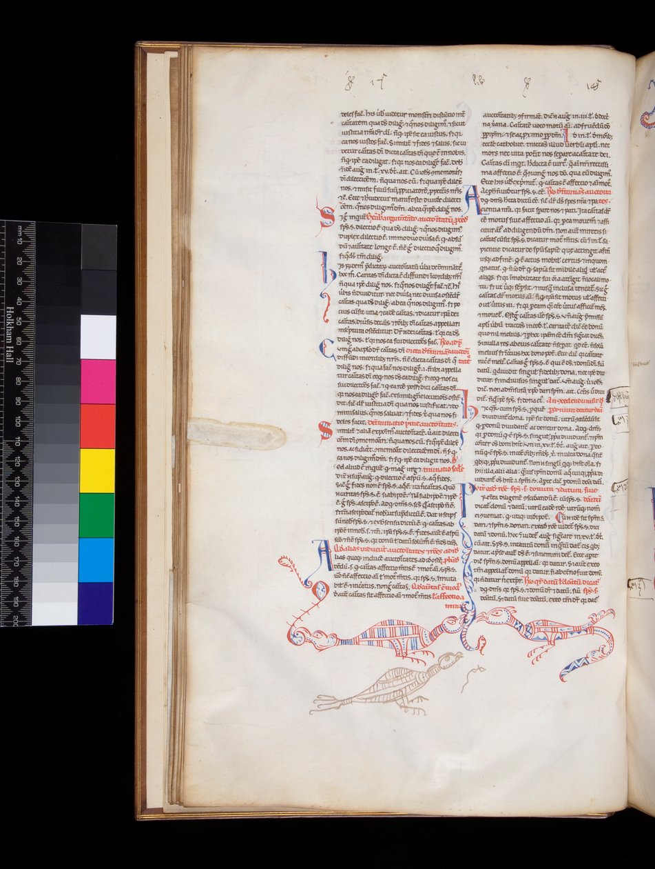 Ms 164. Peter Lombar, Sententiae, f.15v. kuş/ejderha melezlerine dönüştürülen bas-de-page kalem işi dekorasyon by Italian School