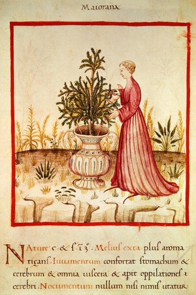 Ms 3054 fol.14v Mercanköşk Sulama, 
