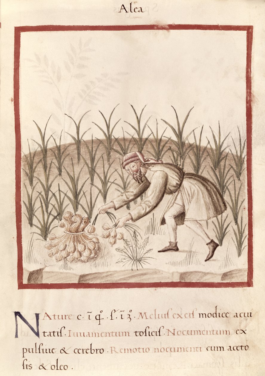 Ms 3054 fol.23 