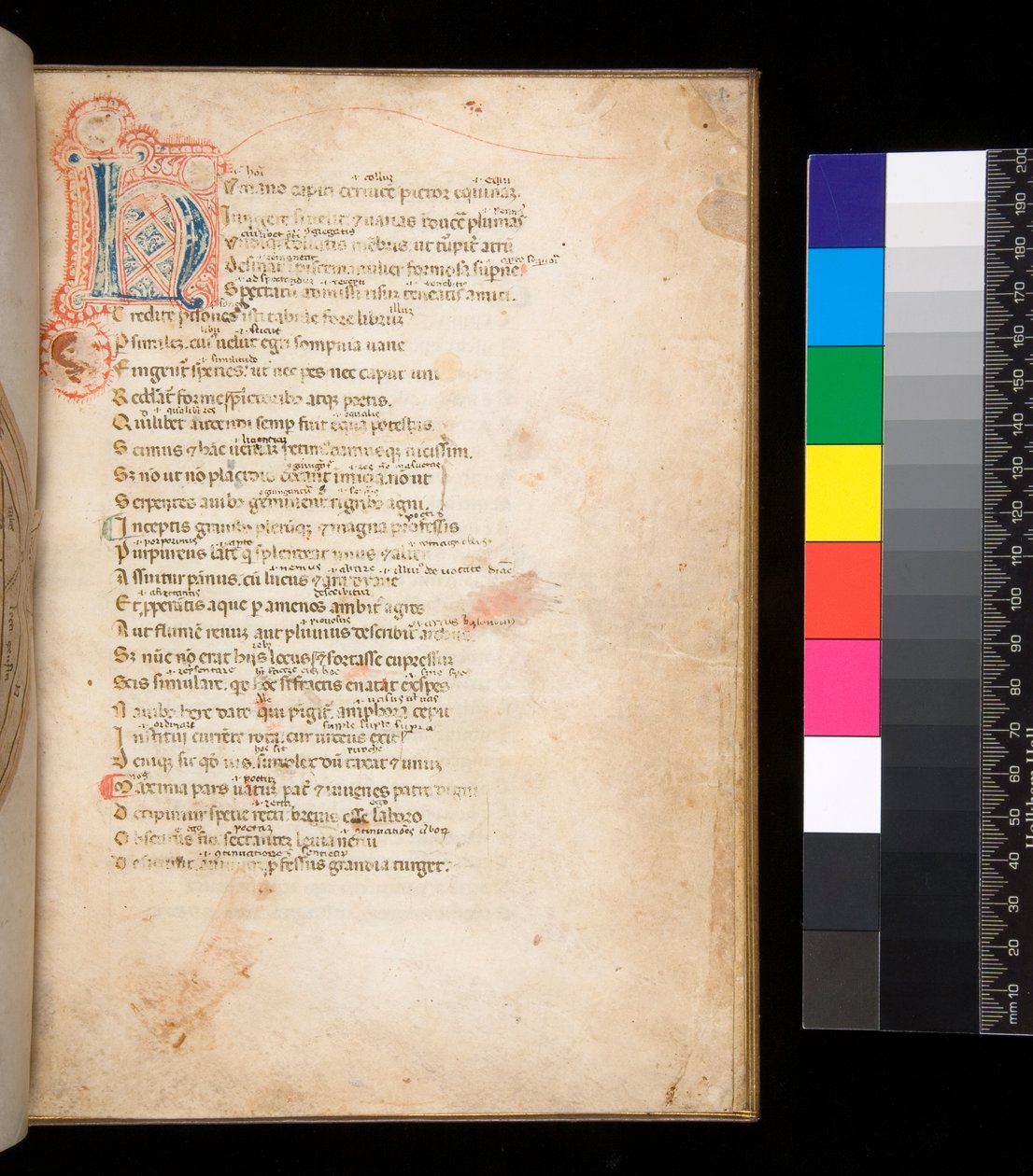 Ms 315. Horace, Ars Poetica ve Epistulae, f.1r. Mavi ve kırmızı bebek bezi dolgulu ve çevreleyen kırmızı renkli kalem işi ile dekore edilmiş başlangıç [N] by Italian School