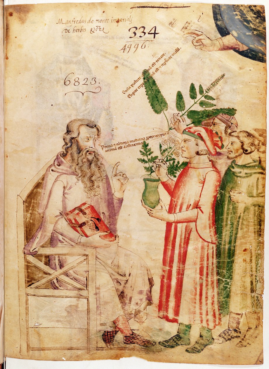 Ms Lat 6823 fol.1 Bilinmeyen bir adama bitki sunan erkekler, Manfredus de Monte Imperiali tarafından De Herbis by Italian School