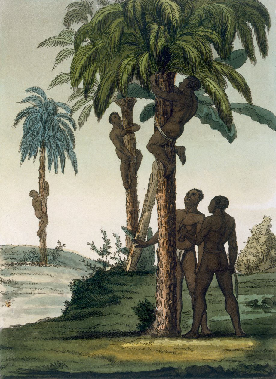 Yerliler, kalçalarına askılı yular kullanarak avuç içlerine tırmanıyor, 1820