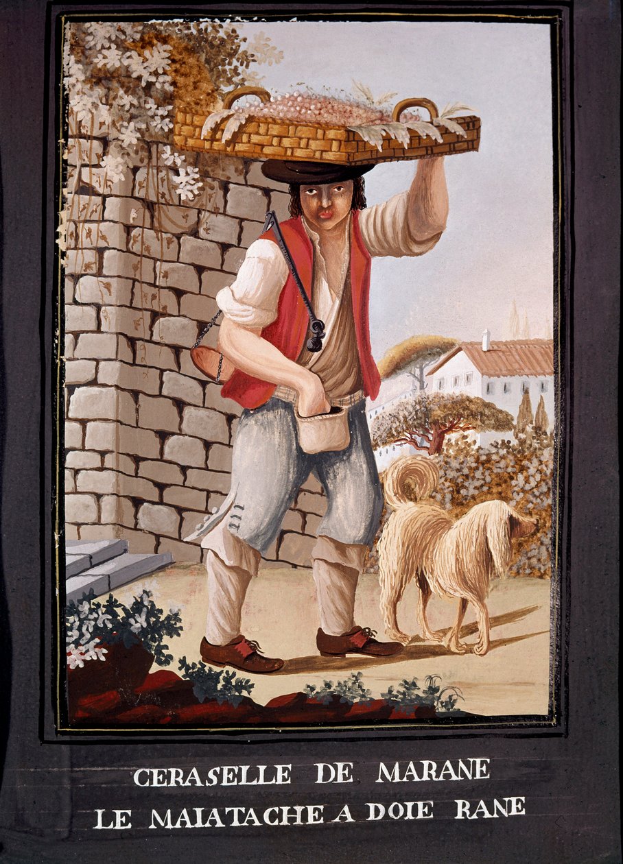 Napoliten ölçüler: Marasca