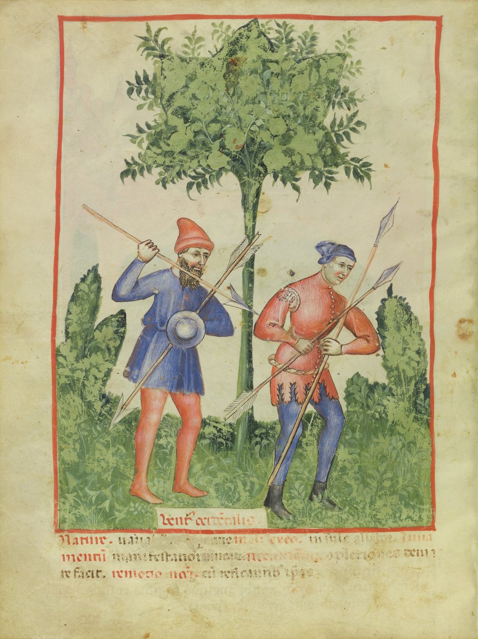 Nouv Acq Lat 1673 fol.100v Batı Rüzgarı, Tacuinum Sanitatis