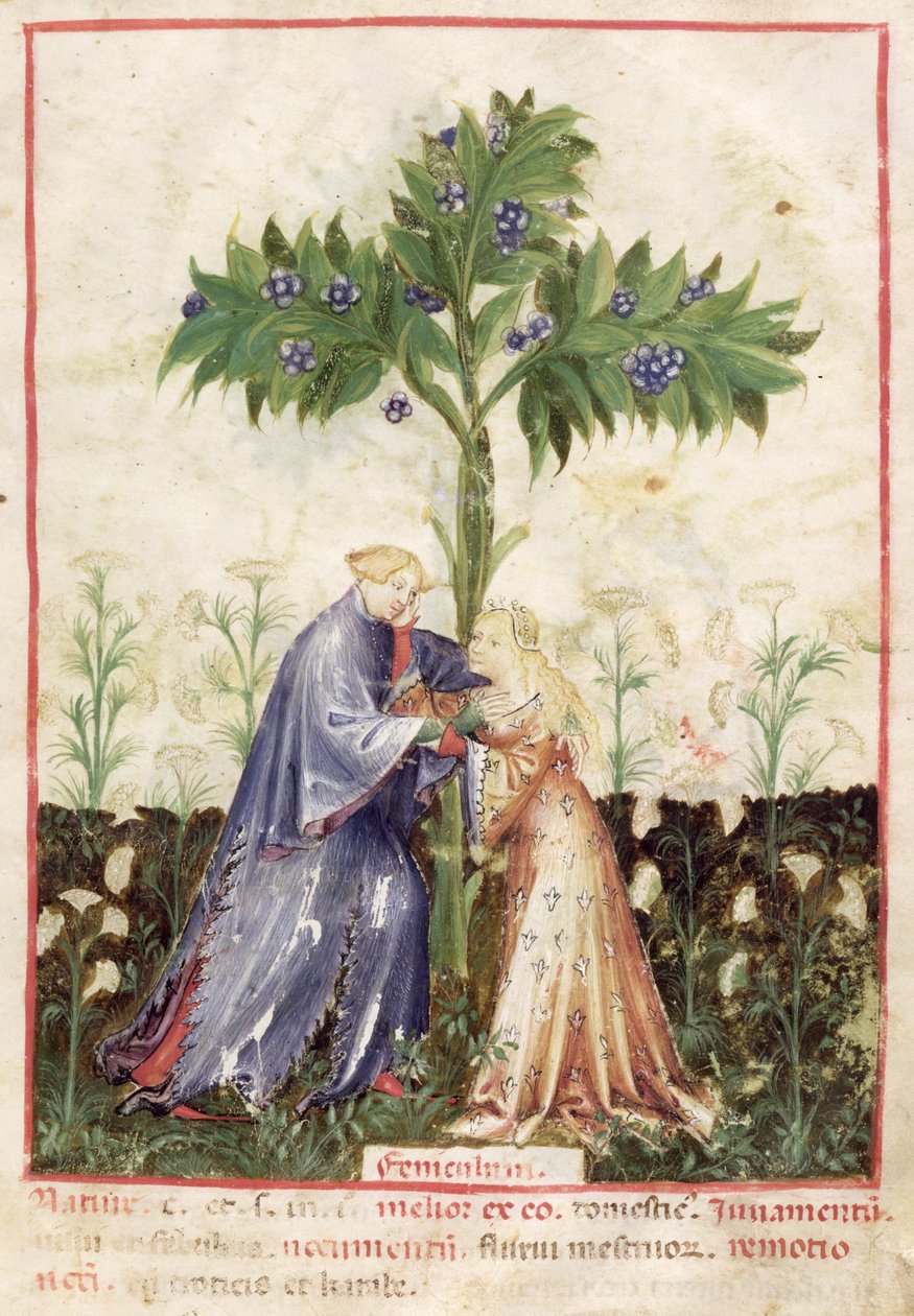 Nouv Acq Lat 1673 fol.41 Rezene, Tacuinum Sanitatis