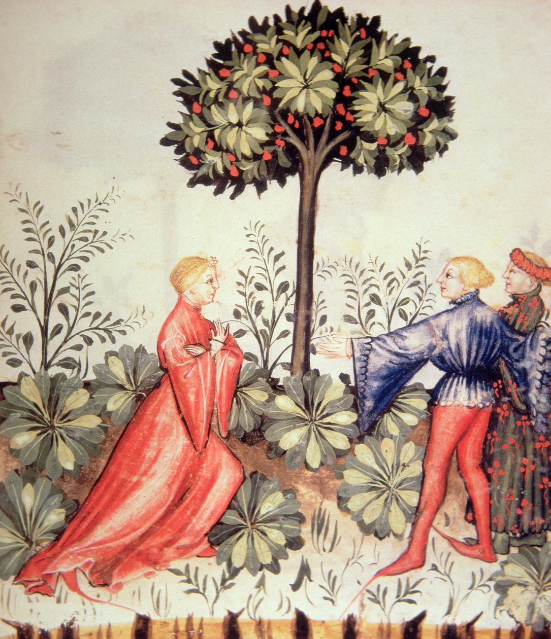 Nova 2644 fol.24r Hasat Hardal, Tacuinum Sanitatis