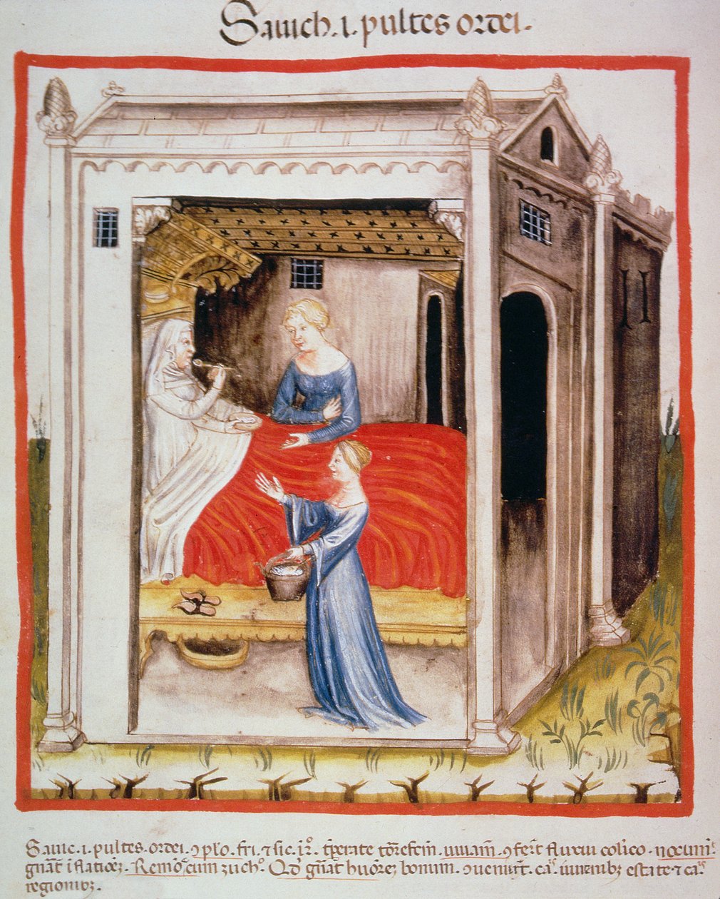 Nova 2644 fol.44v Tacuinum Sanitatis