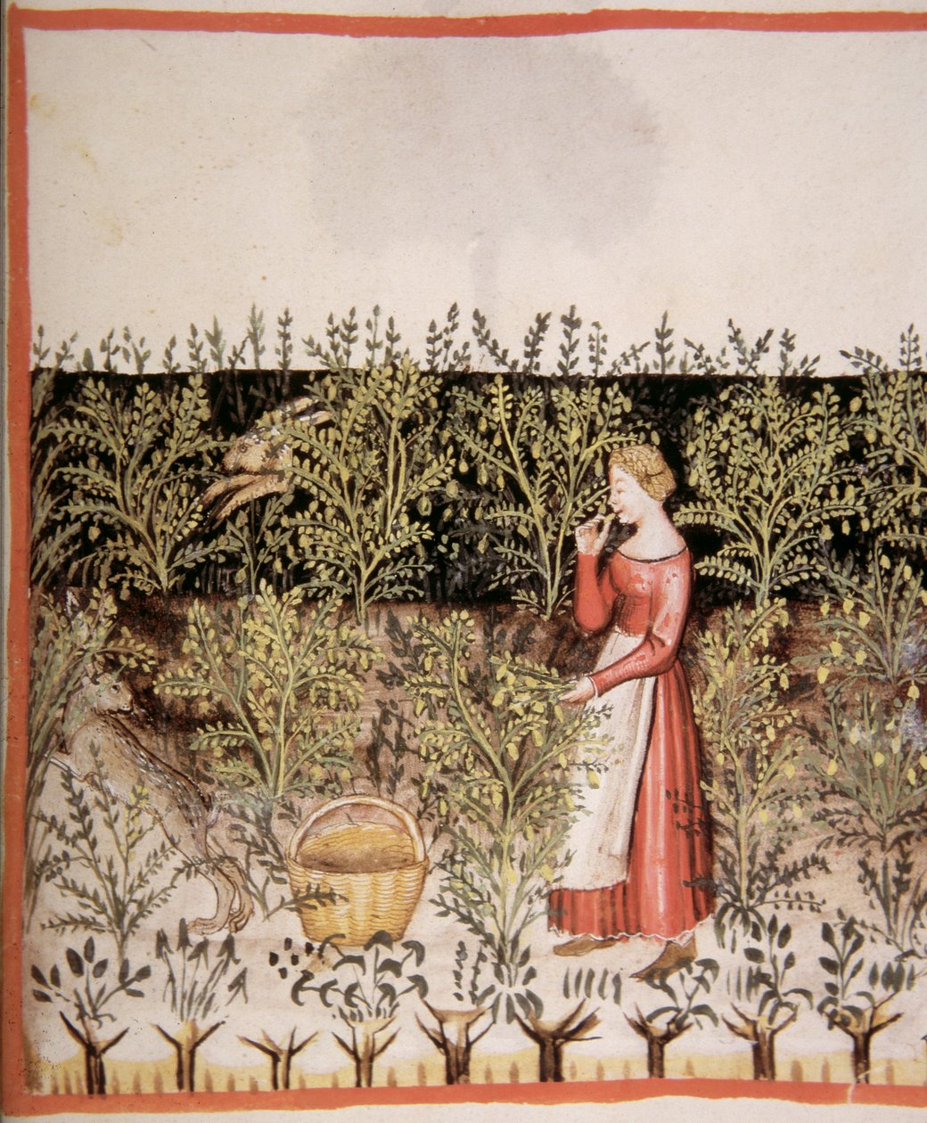 Nova 2644 fol.49 r Nohut Toplama by Italian School