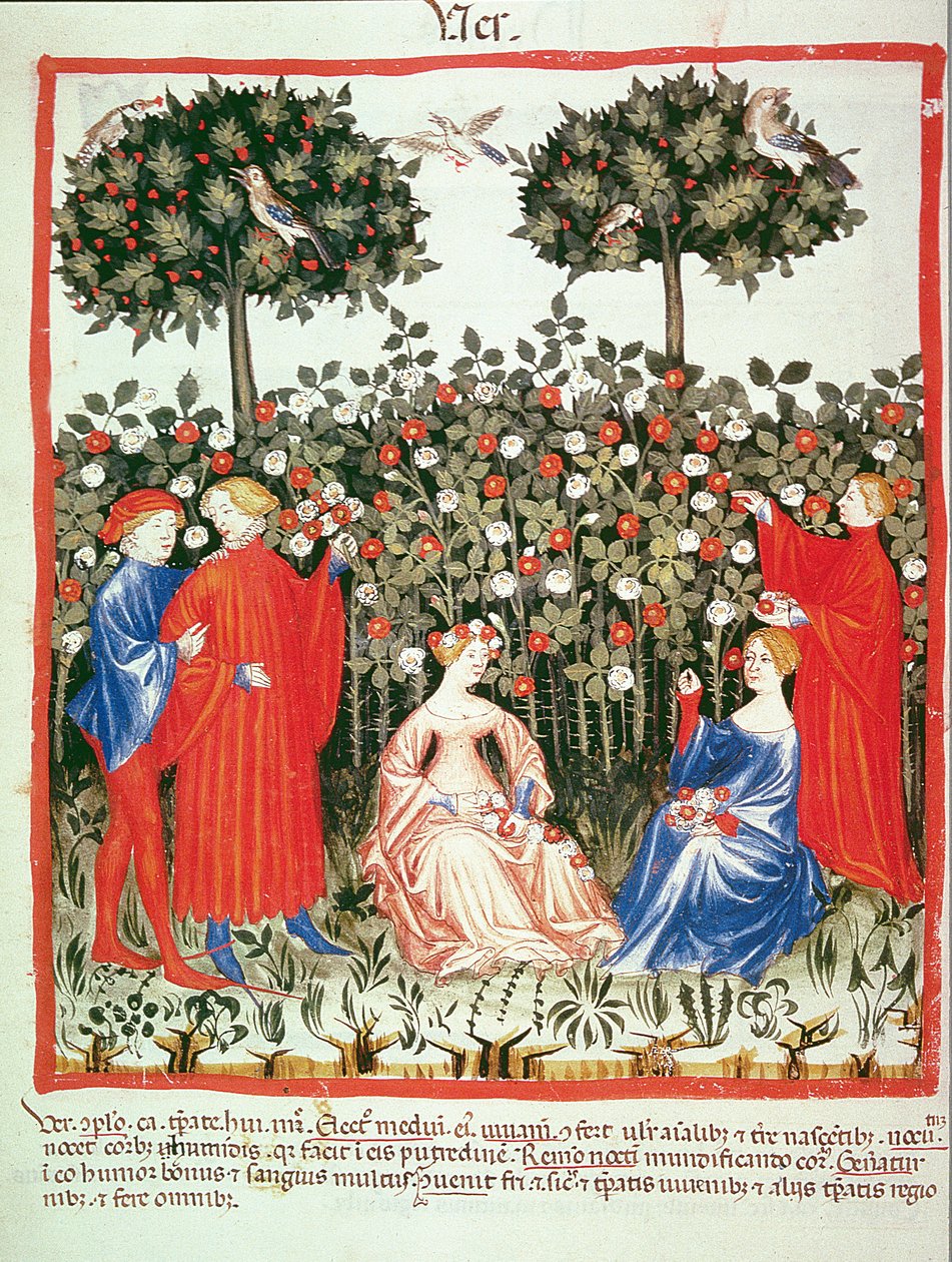 Nova 2644 fol.55v İlkbahar: Tacuinum Sanitatis