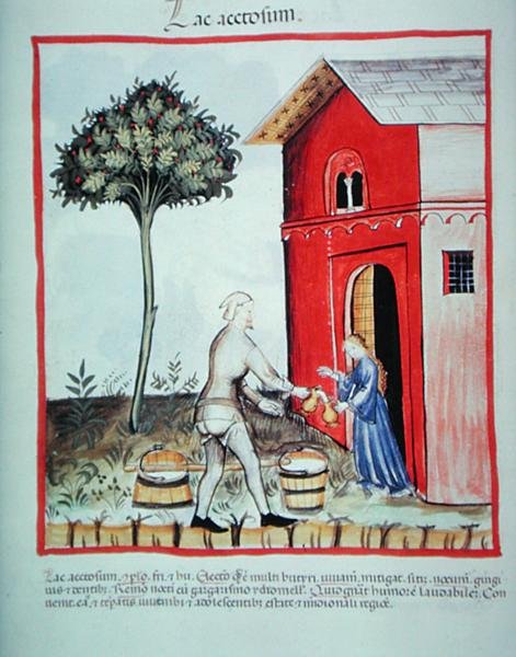 Nova 2644 fol.59v 