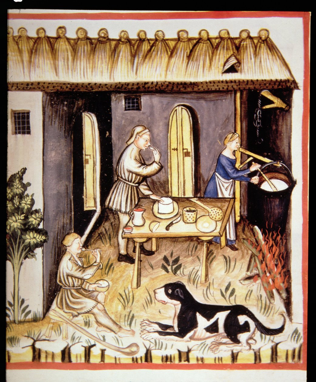 Nova 2644 fol.62r Tacuinum Sanitatis