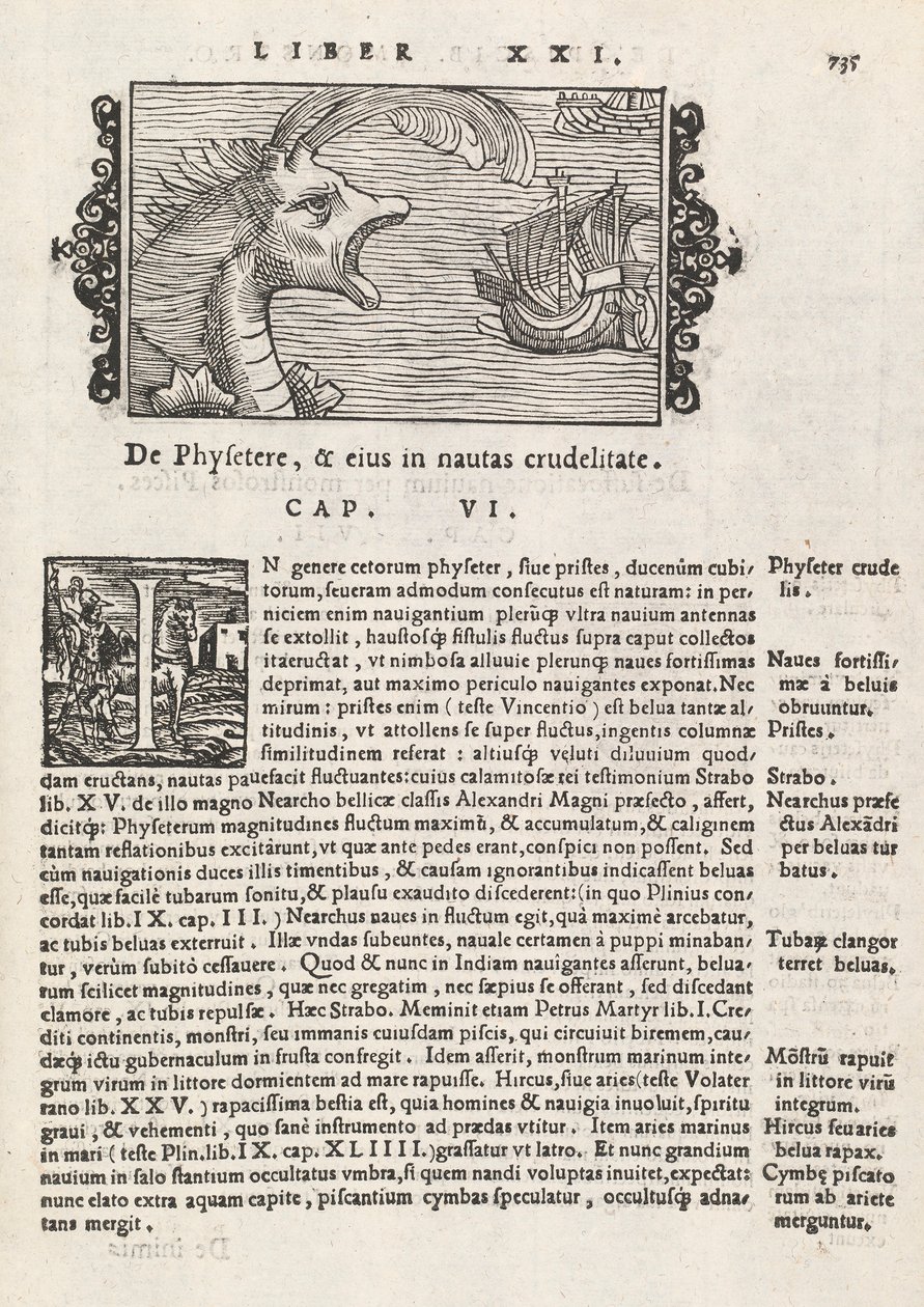 Sayfa 735, Magnus Olaus