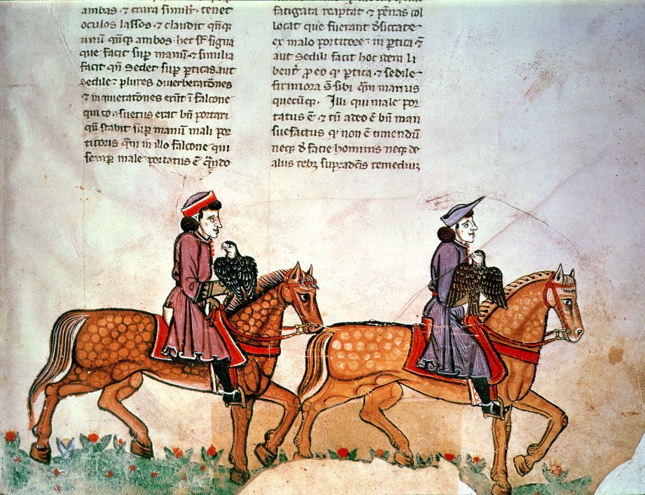 Pal Lat 1071 Frederick II: De Arte Hunting with the Birds