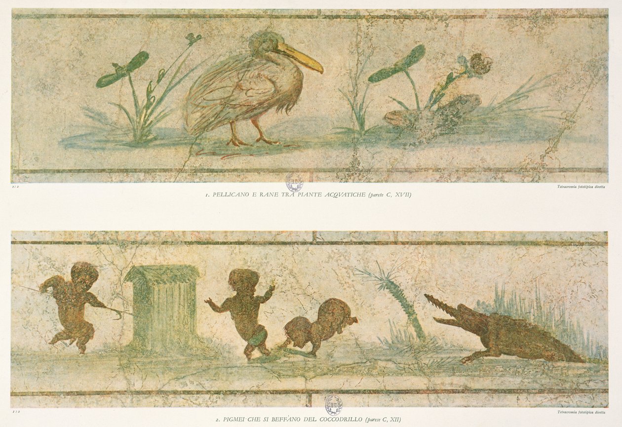 Orijinal fresklerden sonra bir timsahtan önce kaçan pelikanlar, su bitkileri ve pigmeler, Images du Colombier de la Villa Pamphilj, G. Bendinelli, 1941 by Italian School