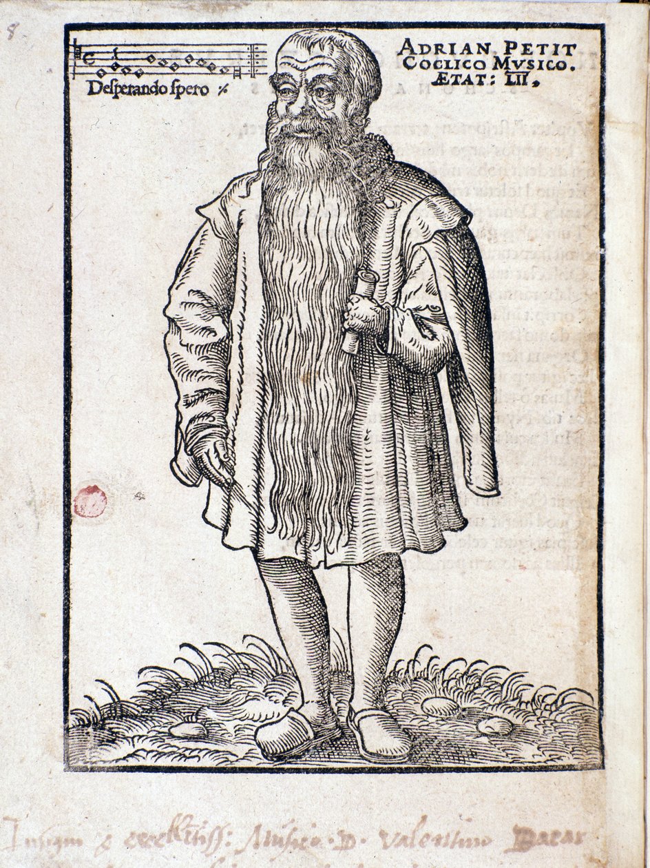 Adrianus Petit Coclico