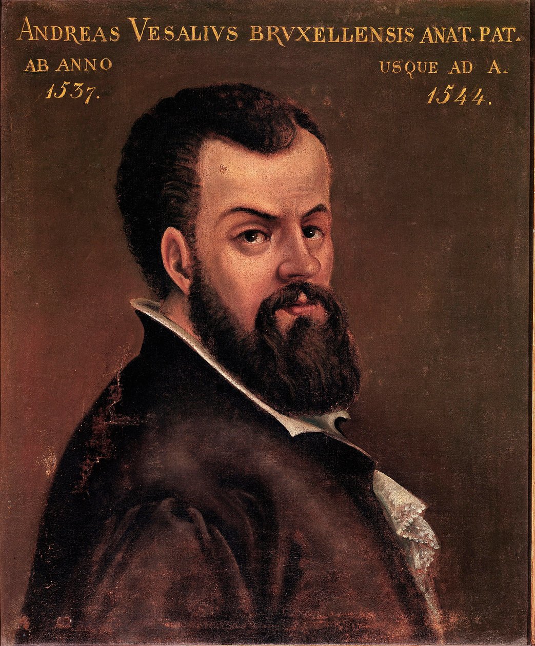 Andre Vesale
