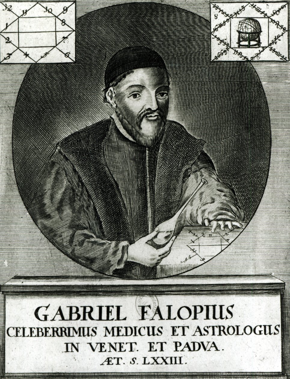 Gabriel Fallopius