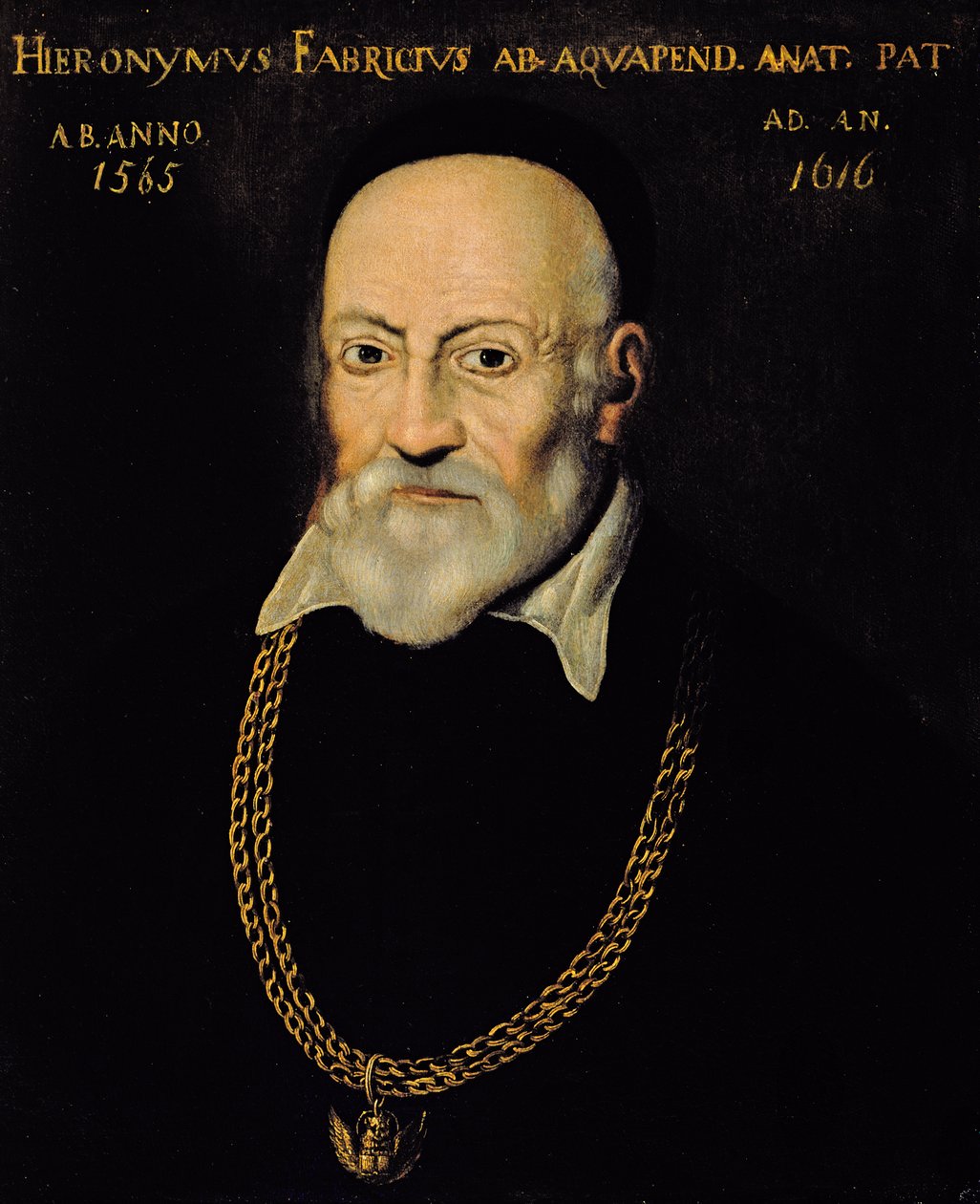 Hieronymus Fabricius