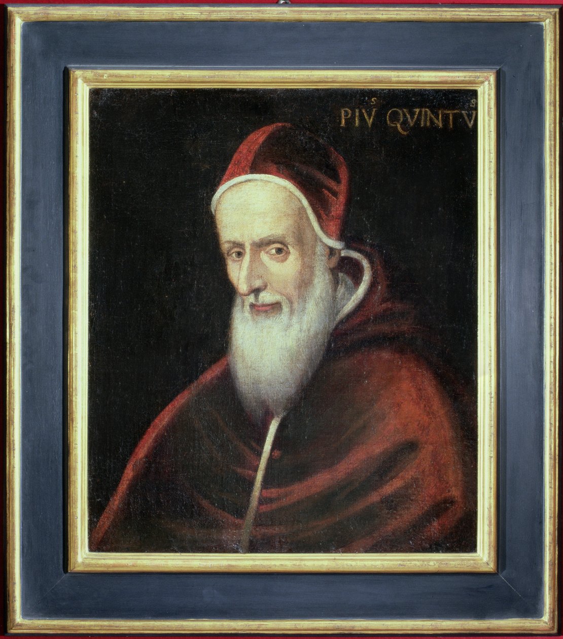 Papa Pius V