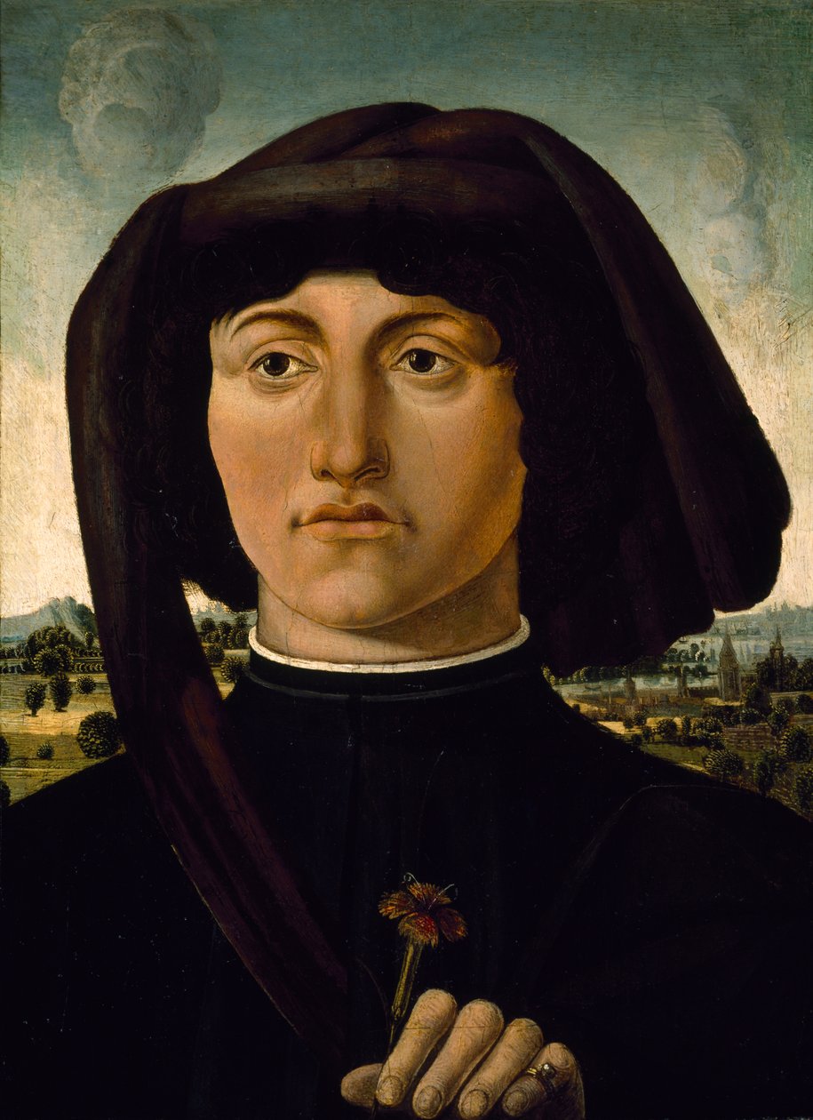 Pembe Çiçekli Genç Bir Adamın Portresi, c.1475-85 (ahşap üzerine tempera) by Italian School