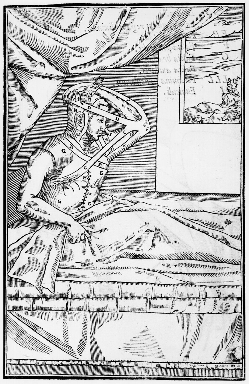 Burunda rekonstrüktif cerrahi, Gaspare Tagliacozzi (1545-99) Venedik tarafından De curtorum chirurgia per insitionem