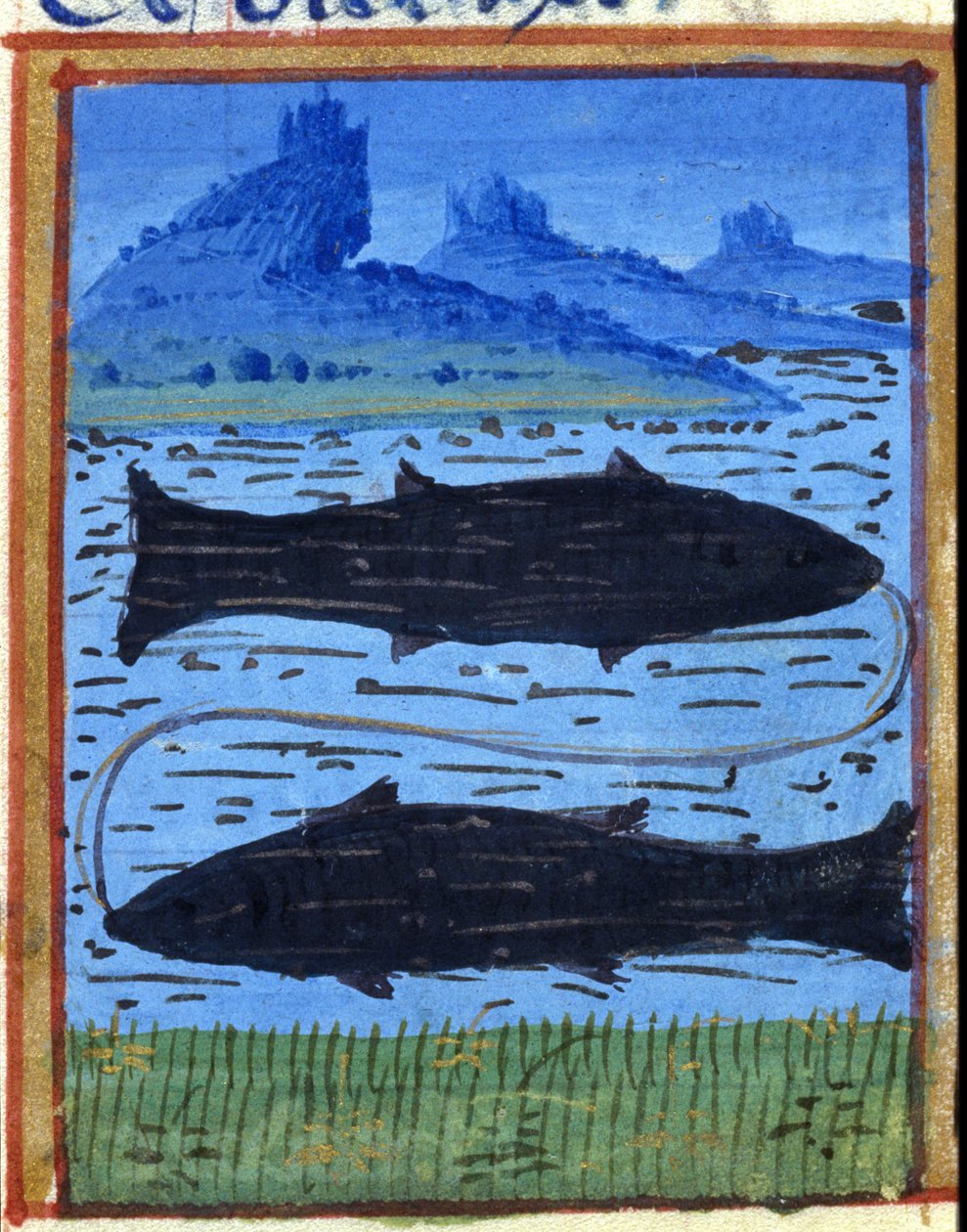 Balık işareti. İtalyan burç, 15. yüzyılın ortalarında. by Italian School