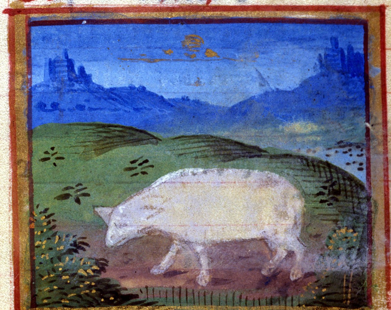 Ram işareti. İtalyan burç, 15. yüzyılın ortalarında. by Italian School