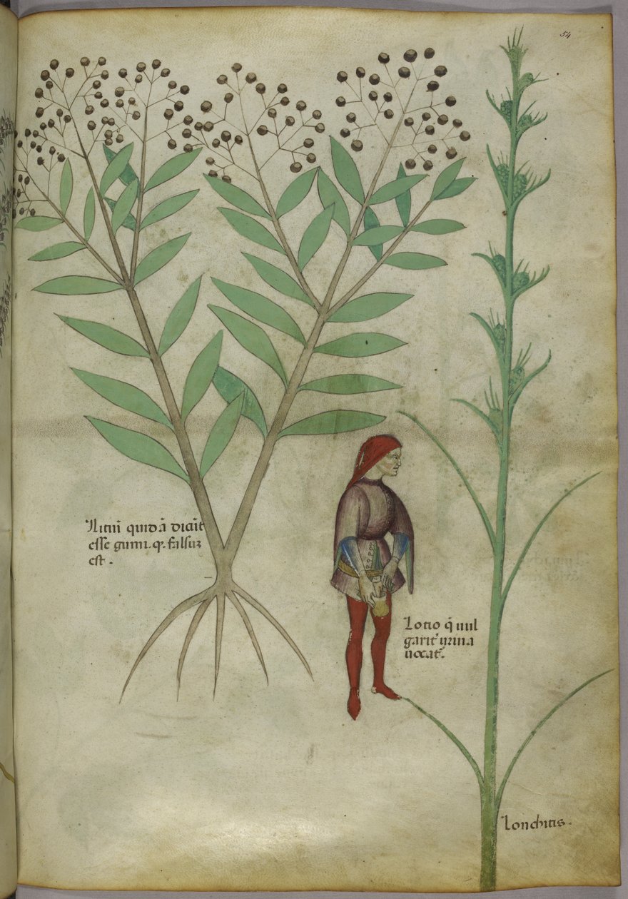 Sloane 4016 f.54 Tencereye idrar yapan adam, 