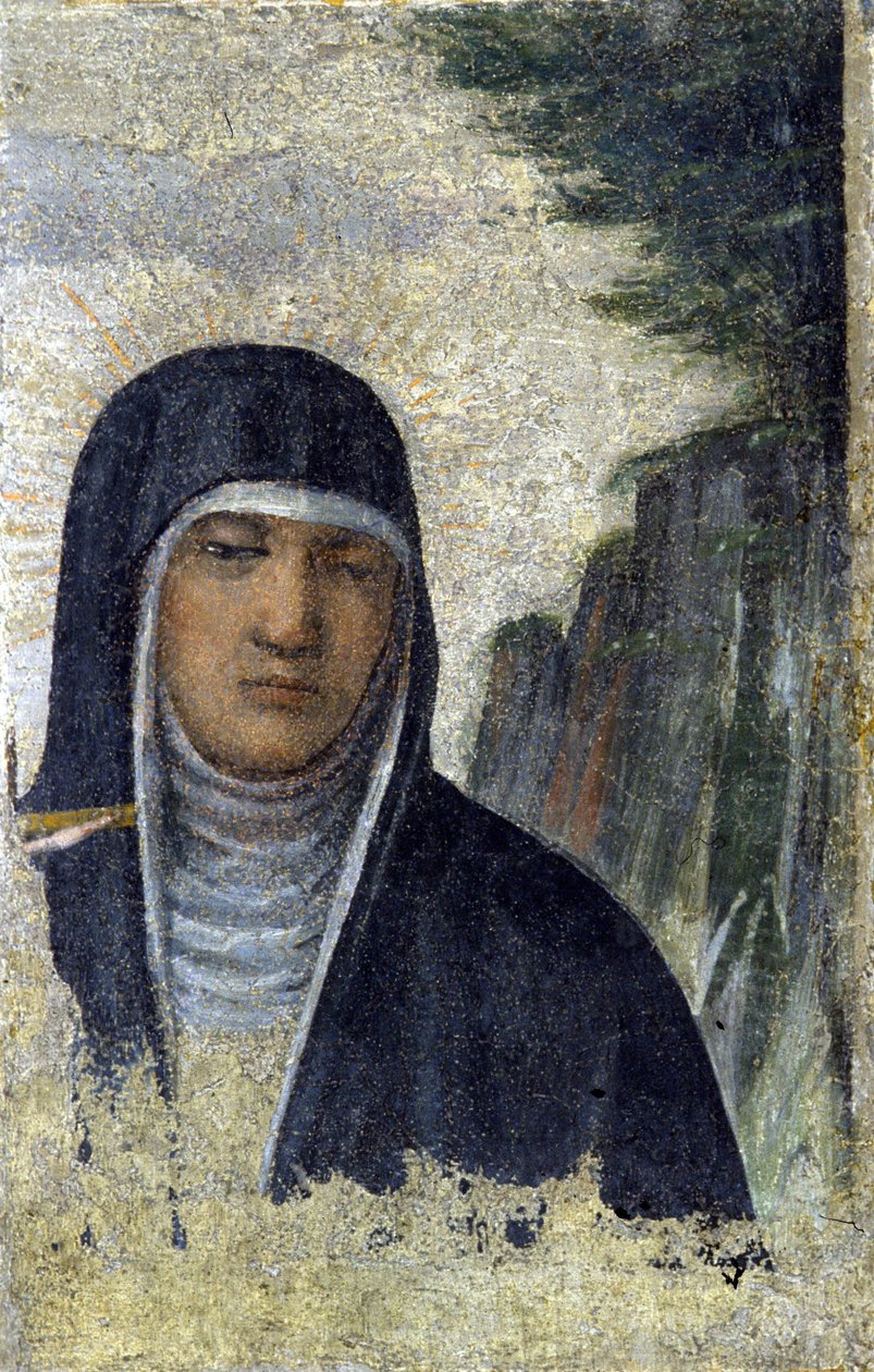 Aziz Claire. Clares Tarikatı