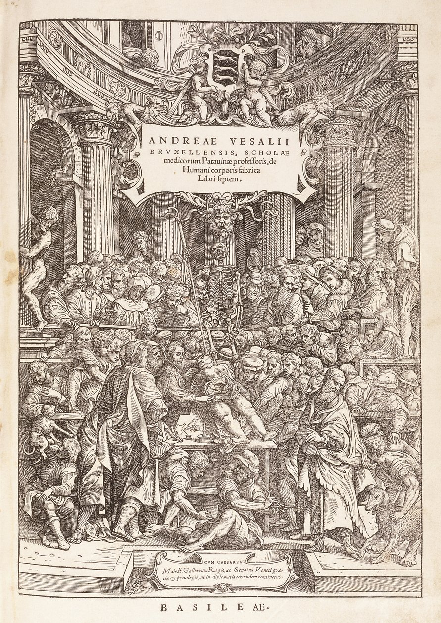 Bir Cerrahi Tiyatroda Anatomik Diseksiyon Yapan Yazar, 1543 by Italian School