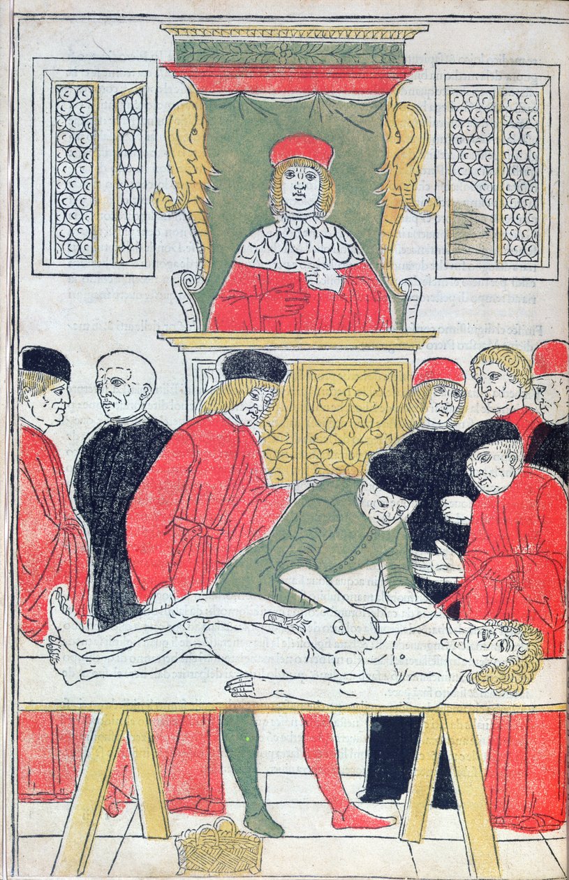 Diseksiyon, Johannes de Ketham (dc1490) 1493 (tahta baskı) tarafından 'Fasciculus Medicinae'den bir çizim by Italian School