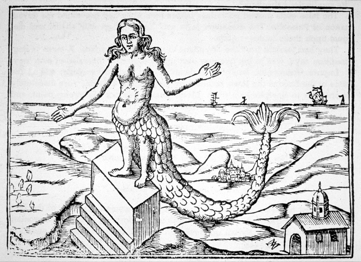 İlahiyat Ejderhası, Athanasius Kirchner tarafından Oedipus Aegyptiacus