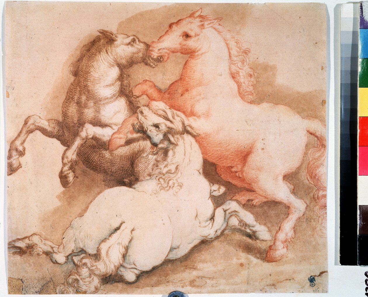 "At dövüşü" (Atlarla dövüşür) Kalem çizimi, İtalyan okulunun mürekkebi. 1550-1600 Puşkin Müzesi, Moskova by Italian School