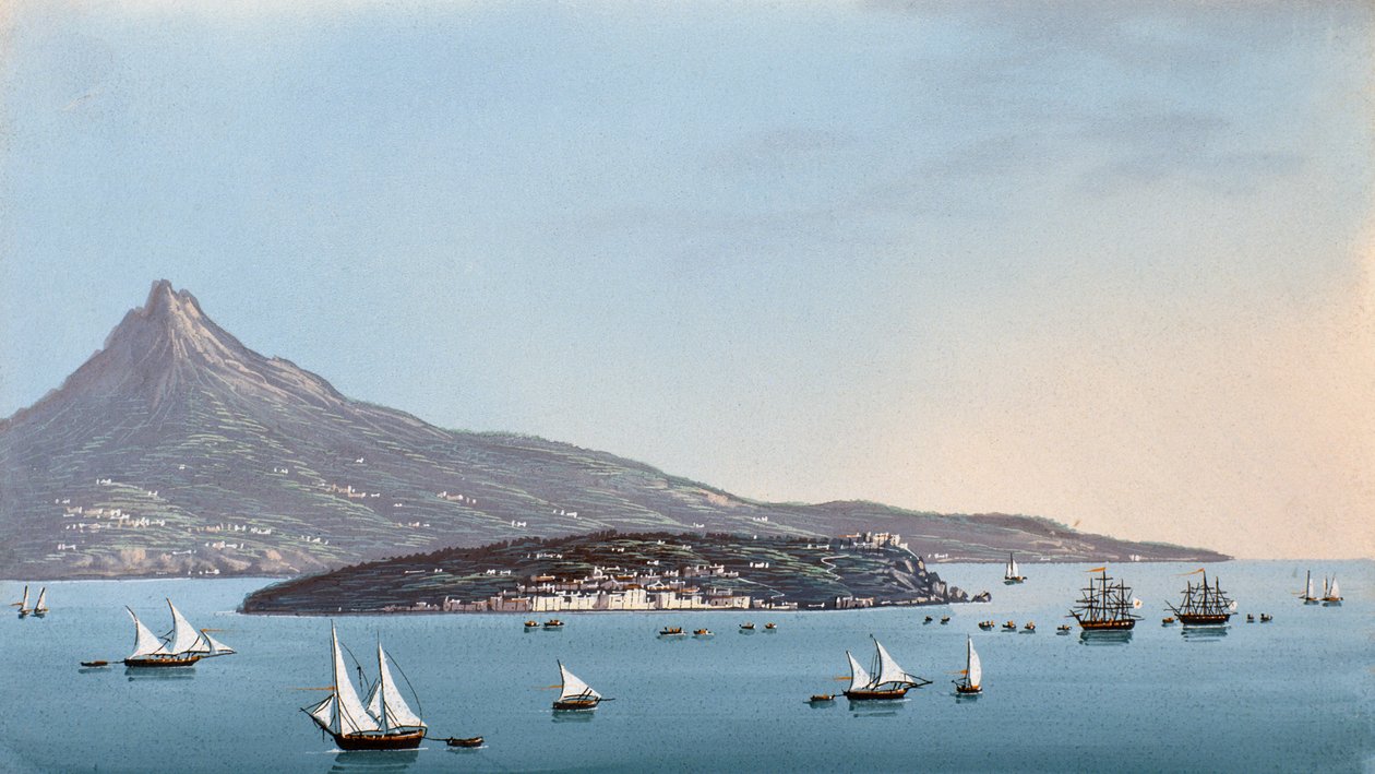 Napoli manzarası (guaj) by Italian School