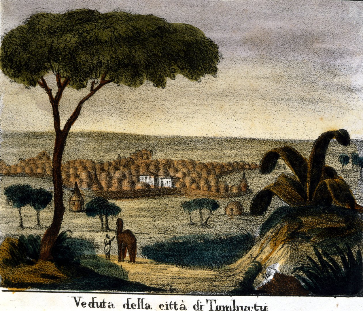 19. yüzyılda Mali