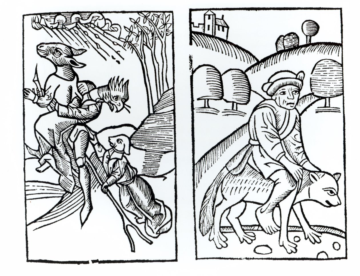 Süpürgeye binen hayvanlar (solda) ve kurda binen erkek cadı (sağda) kılığında cadılar, Fr M Guaccius, Milan 1608 tarafından hazırlanan Compendium Maleficarum