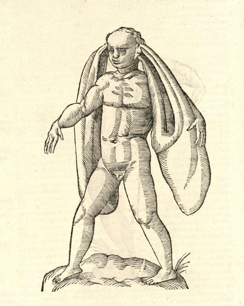 Aldrovandis Canavarlar Tarihi