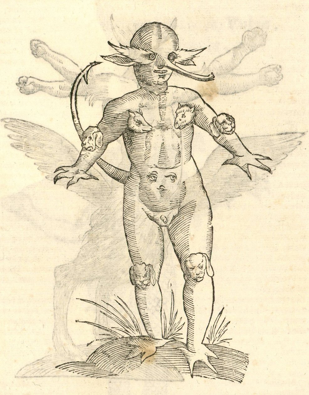 Aldrovandis Canavarlar Tarihi