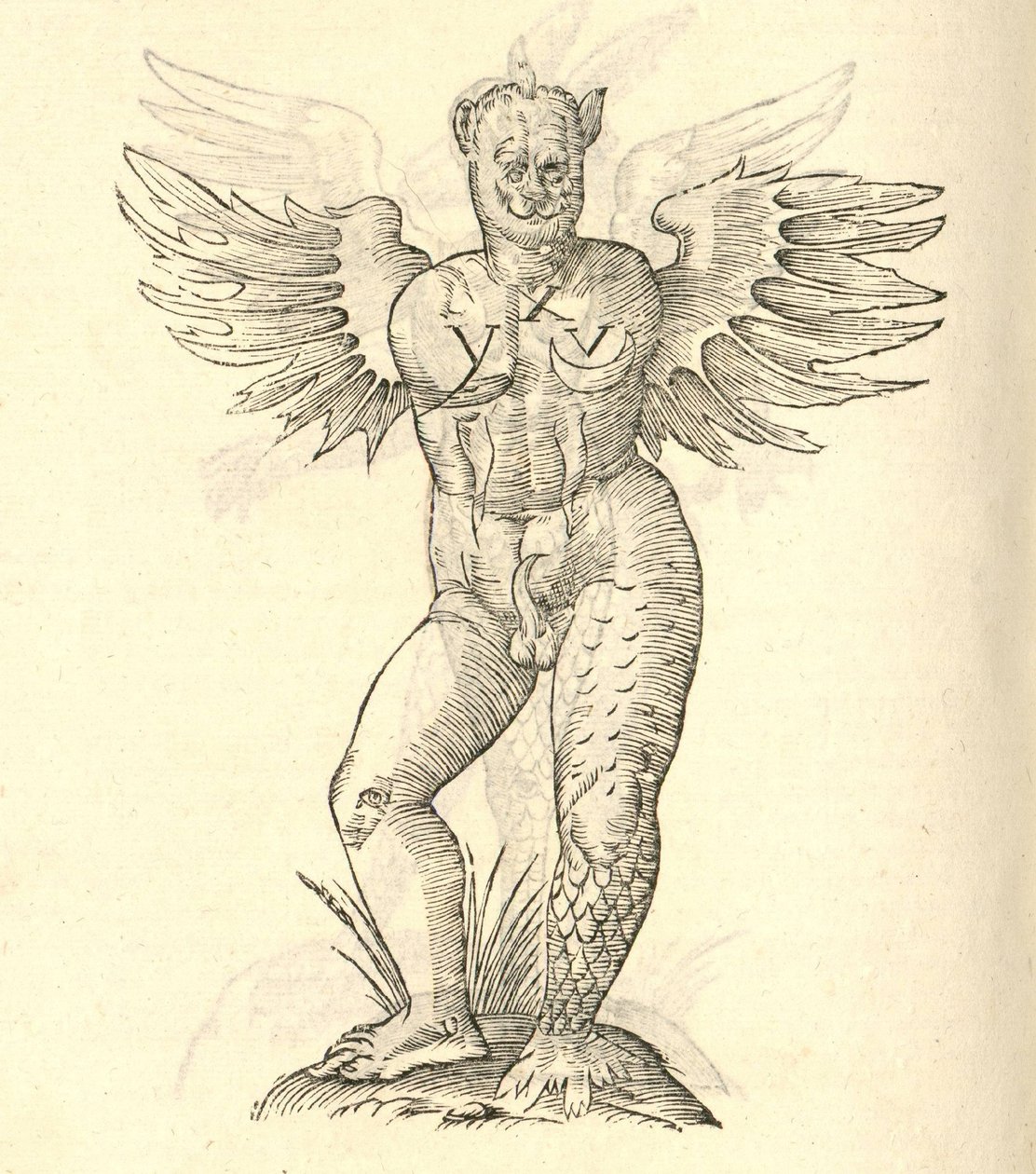 Aldrovandis Canavarlar Tarihinden kanatlı bir canavarın çizimi, 1642 by Italian School