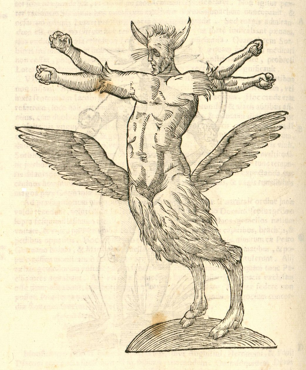 Aldrovandis Canavarlar Tarihinden Canavar resmi, 1642 by Italian School