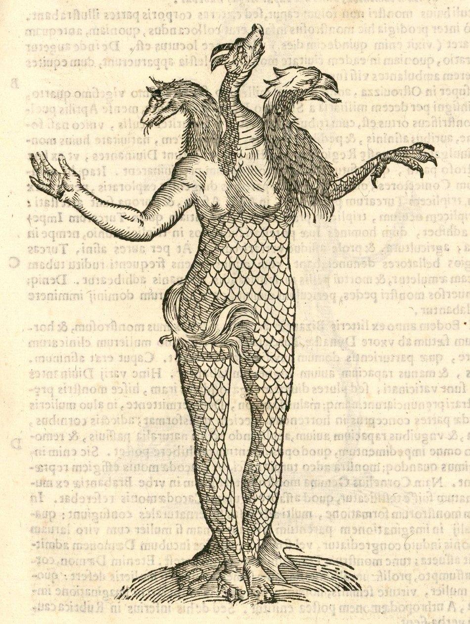 Aldrovandis Canavarlar Tarihi, 1642