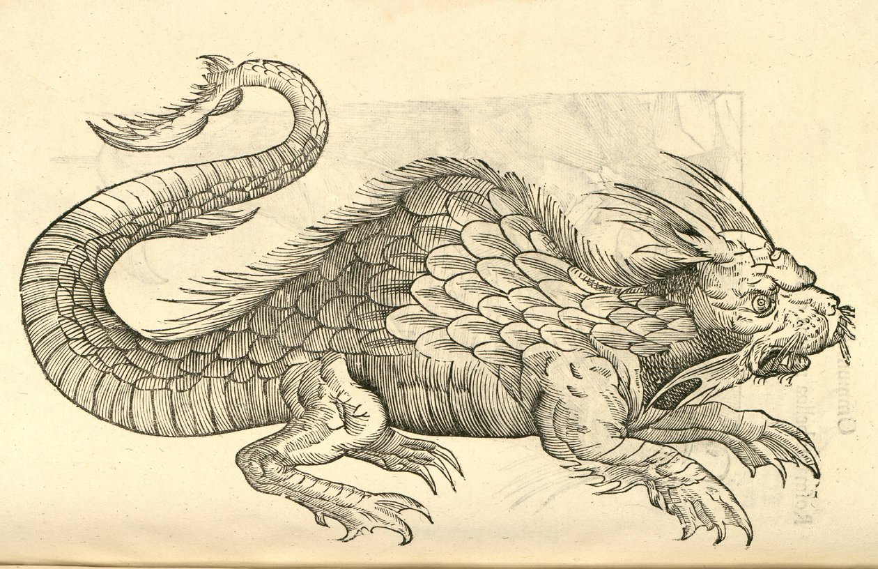Aldrovandis