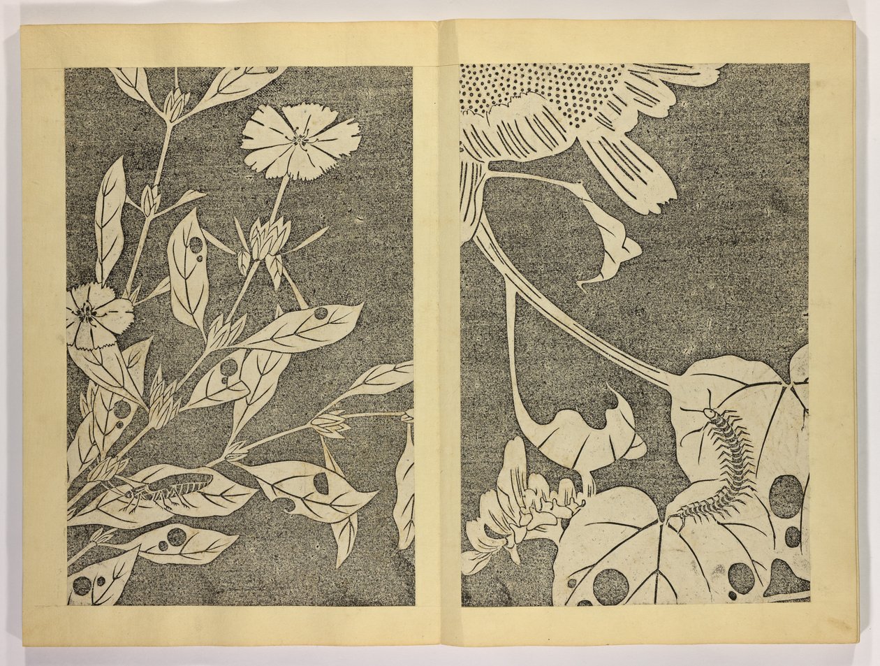 Jakuch? gaj?, c.1910 (tahta baskı) by Ito attr. to Jakuchu