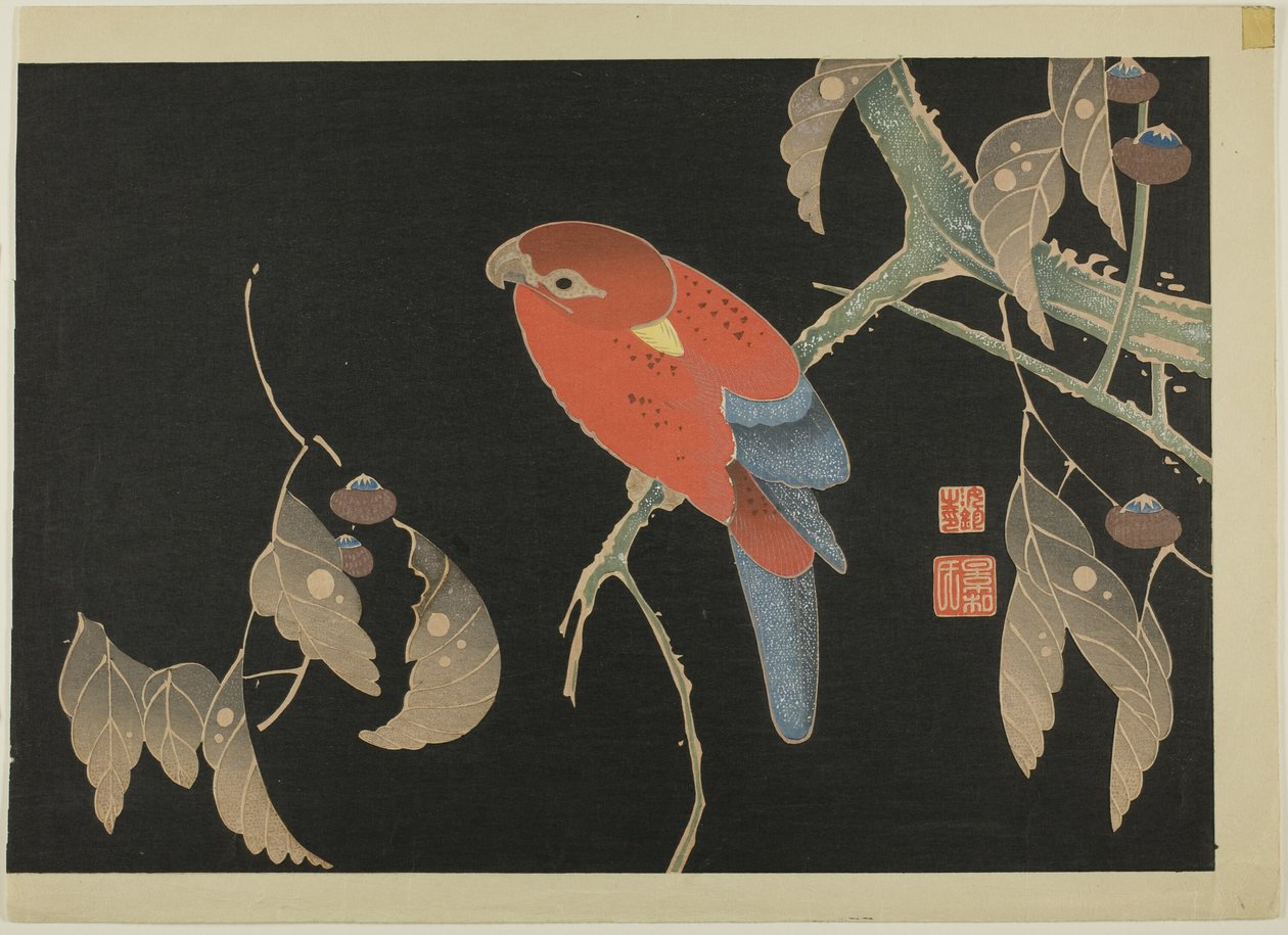  by Ito Jakuchu