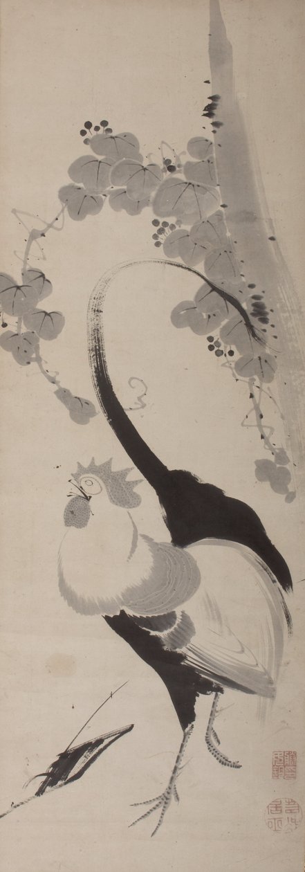 Horoz ve Asma, Asma Parşömen, Edo Dönemi (kağıt üzerine mürekkep) by Ito attr. to Jakuchu